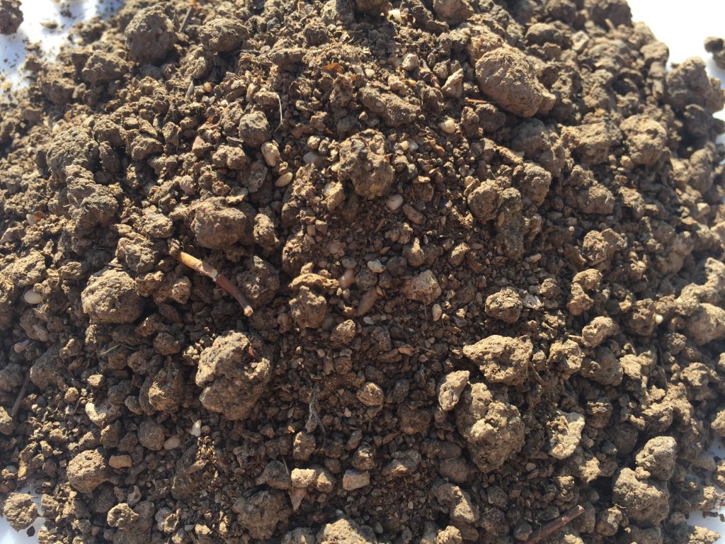 Organic Heat Dried Chicken Manure