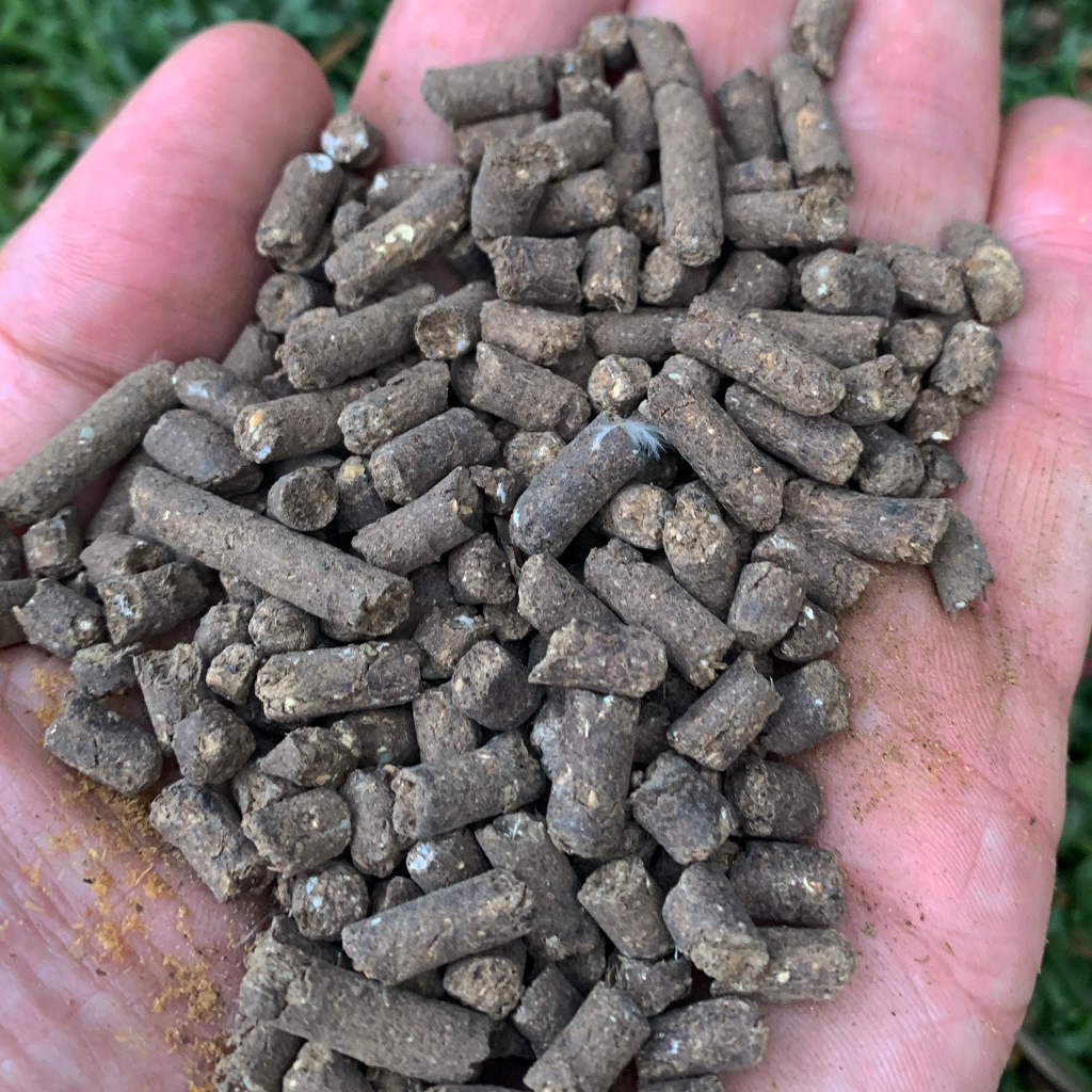 Organic Fertilizer Pellet 422